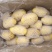 滕州土豆大量供应中4两以上货源充足市场货电商货