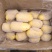 滕州土豆大量供应中4两以上货源充足市场货电商货