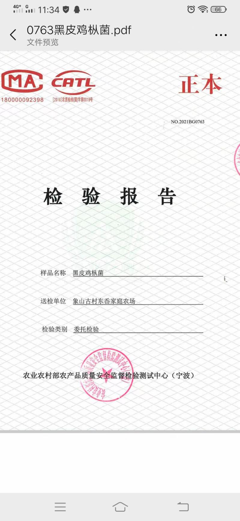 常年生产黑皮鸡枞菌包，出售鲜品鸡枞
