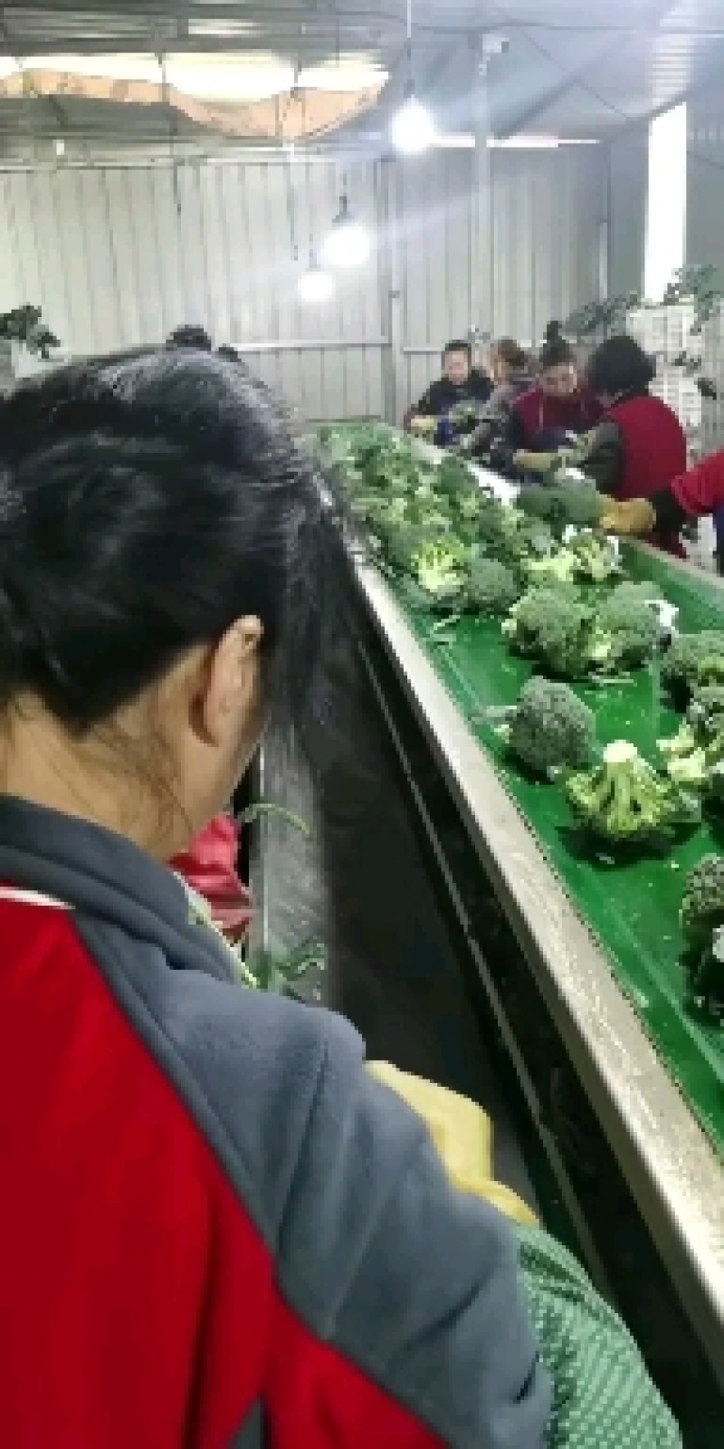 冷库出租，整租，分租，场地大，价格低，欢迎进店联系