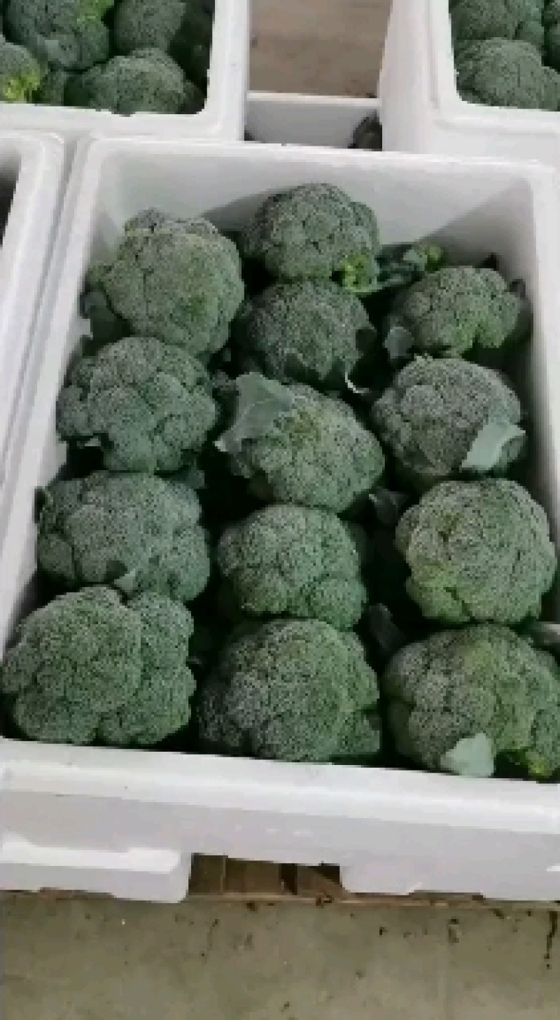 冷库出租，整租，分租，场地大，价格低，欢迎进店联系