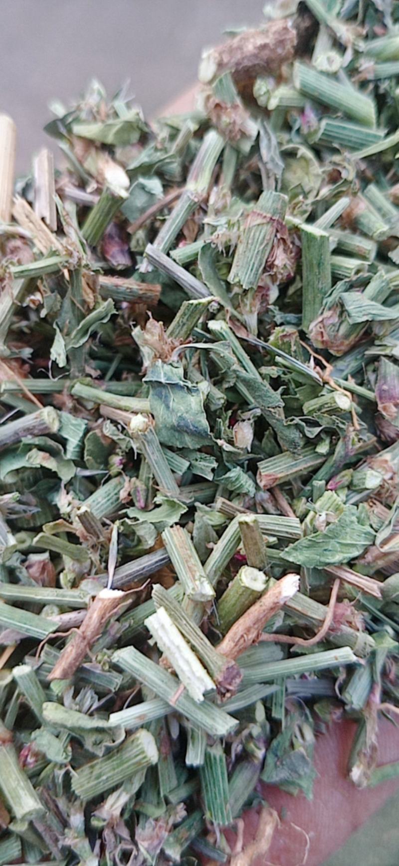 萹蓄新货颜色好量大从优实物拍摄