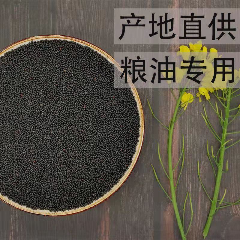 油菜籽现货供应油菜籽炸油专用原料五谷杂粮袋装50斤