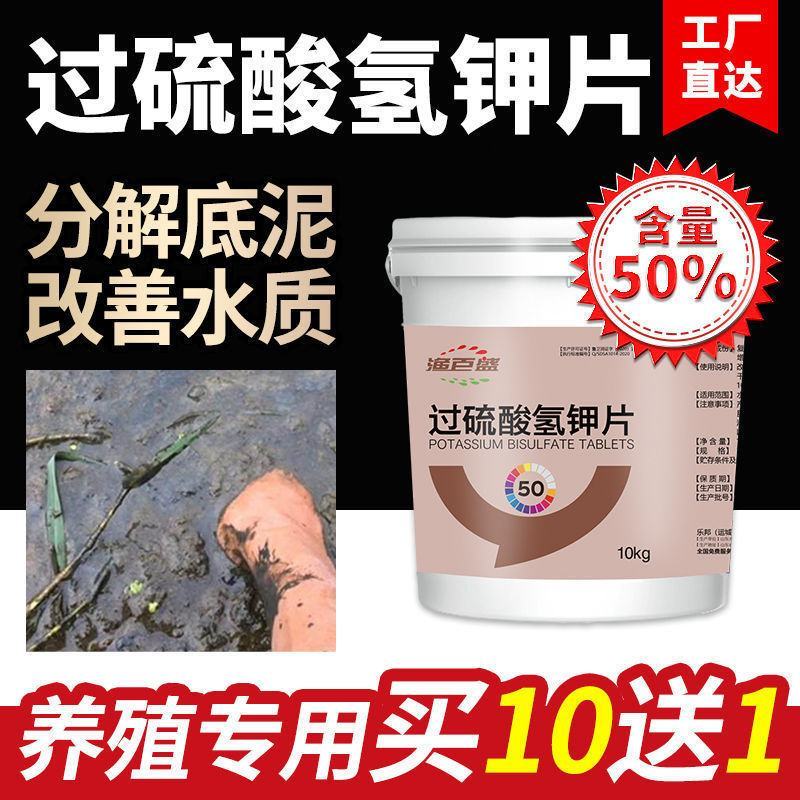过硫酸氢钾复合盐底改片水产养殖鱼虾蟹塘消毒增氧片净水分解