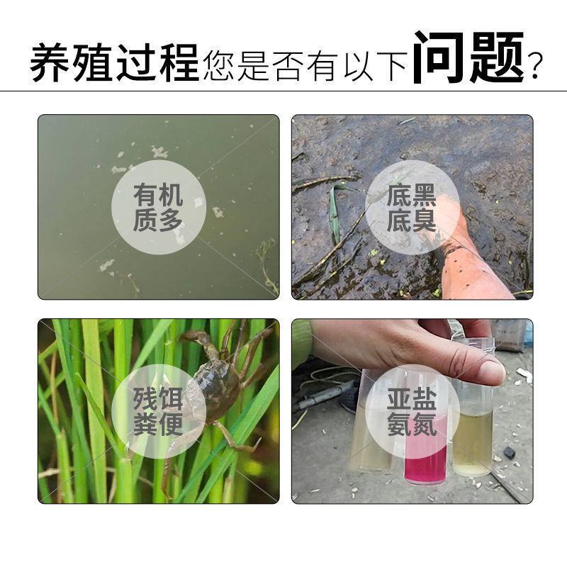 过硫酸氢钾复合盐底改片水产养殖鱼虾蟹塘消毒增氧片净水分解