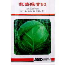 抗热绿甘60甘蓝种子，10克，抗病耐裂耐高温