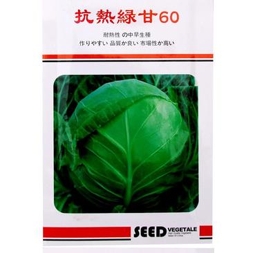 抗热绿甘60甘蓝种子，10克，抗病耐裂耐高温