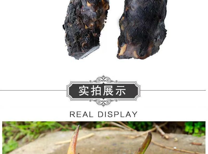 池塘睡莲花鱼缸睡莲根块带花苞四季盆栽水培植物庭院大小睡莲