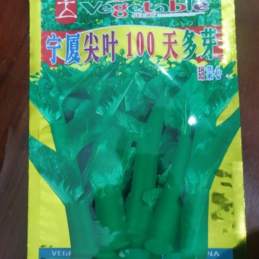 宁夏尖叶100天甜菜心菜苔种子