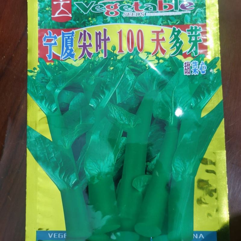 宁夏尖叶100天甜菜心菜苔种子