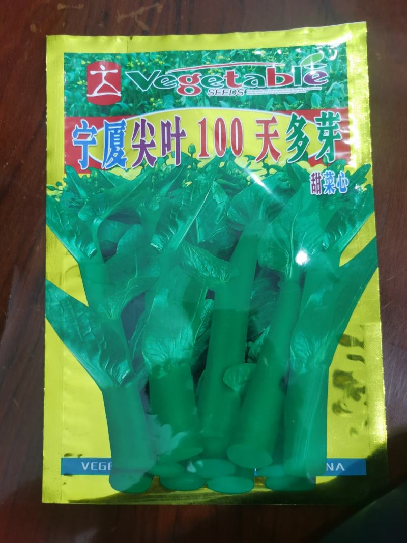 宁夏尖叶100天甜菜心菜苔种子