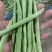 云南小金豆，四季豆，无机豆角，扁豆