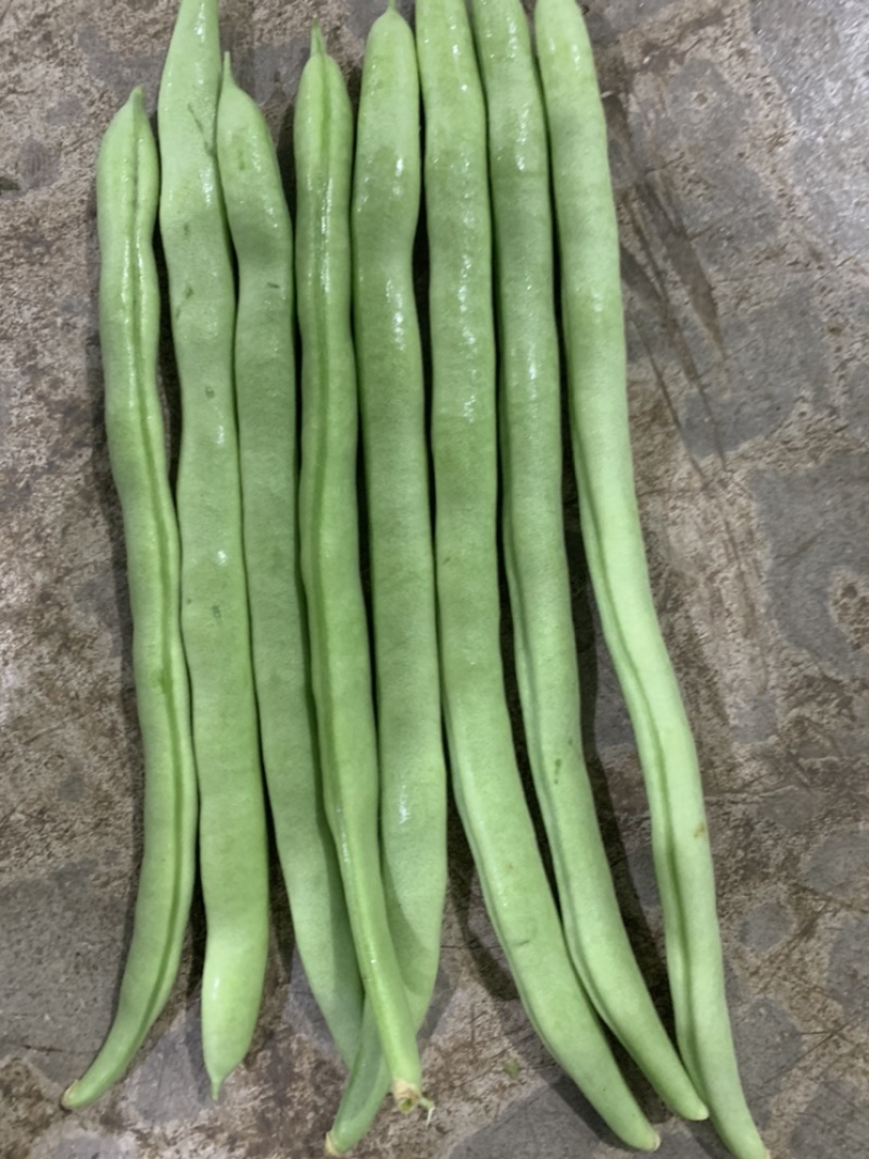 云南小金豆，四季豆，无机豆角，扁豆