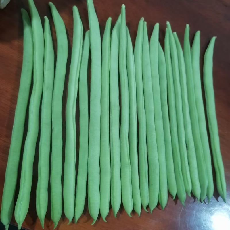 云南大量现货所有，短长豆