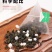 蜜桃乌龙茶口感好一盒100克，5盒一斤，支持一件代发