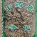 断肠草中药材干净无杂视频看货一公斤起