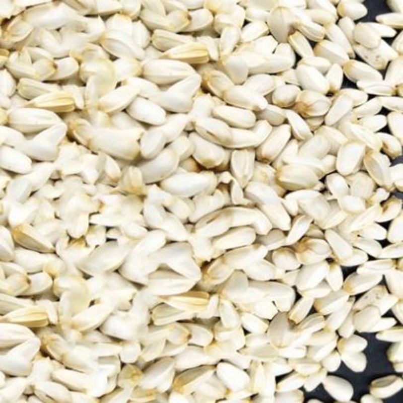 红花籽现货批发红花籽鸟粮炸油原料红花籽袋装50斤