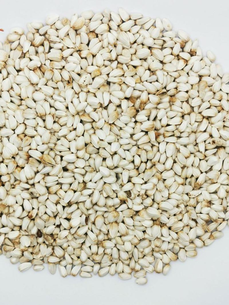 红花籽现货批发红花籽鸟粮炸油原料红花籽袋装50斤