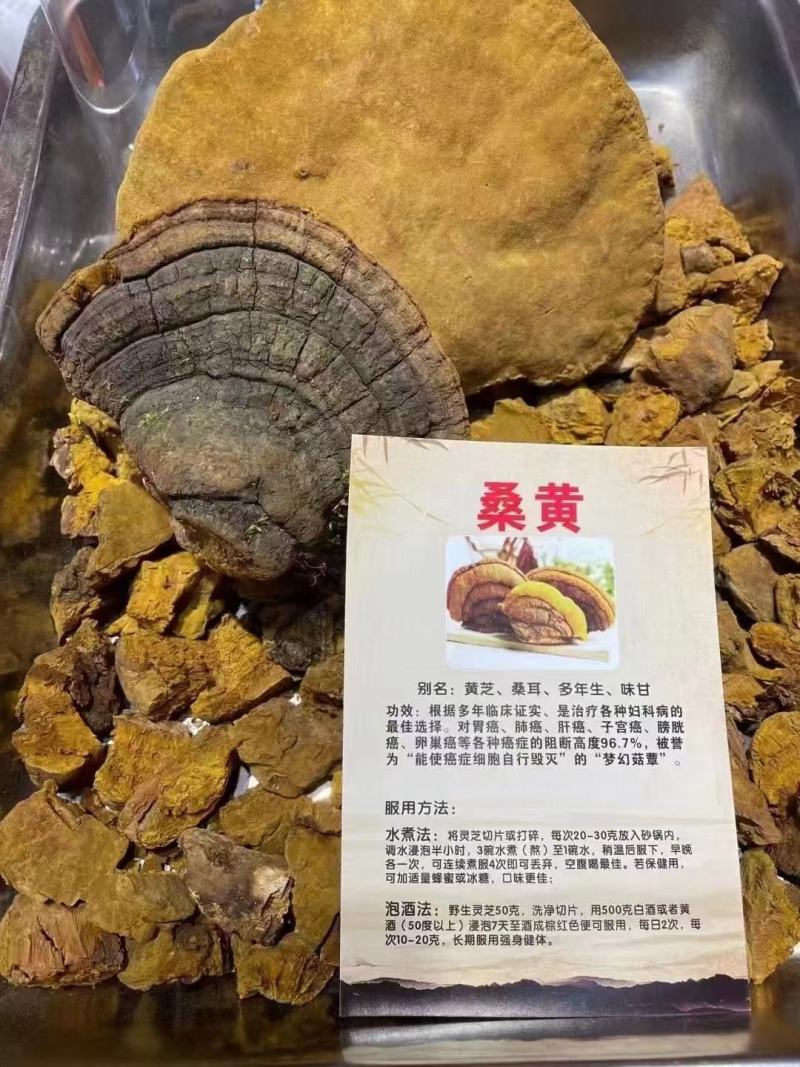 冬虫夏草