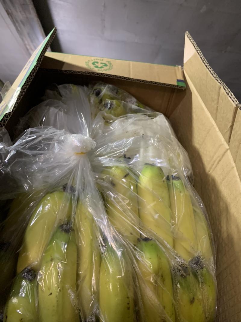 大量供应广东香蕉，云南香蕉，大黄，二黄，生蕉，量大开盘