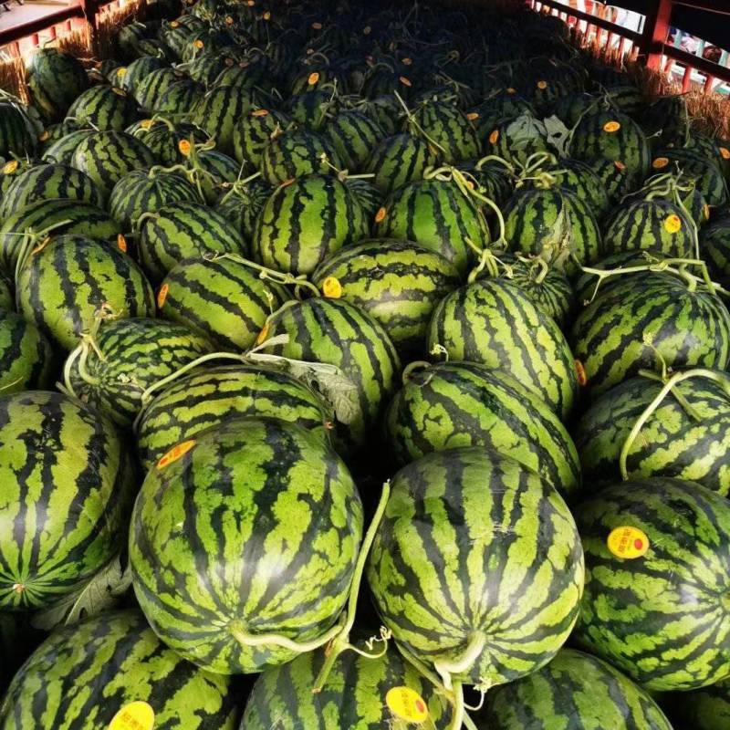 甜王