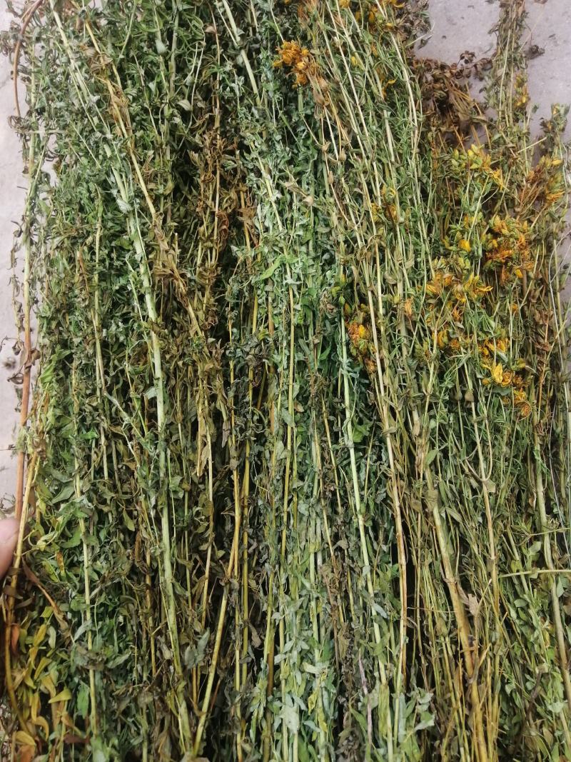 贯叶连翘贯叶连翘干货一手货源产地直供