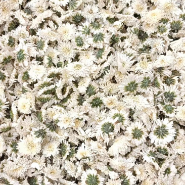 2022年新花，黄山贡菊，七月菊一件10公斤