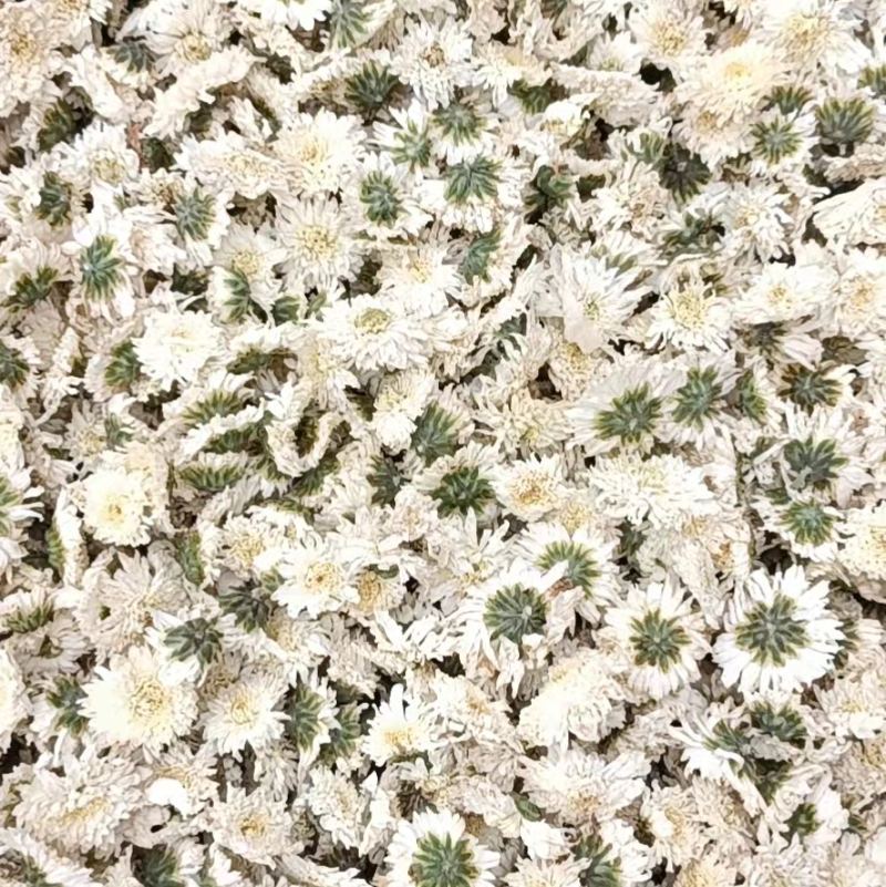 2022年新花，黄山贡菊，七月菊一件10公斤