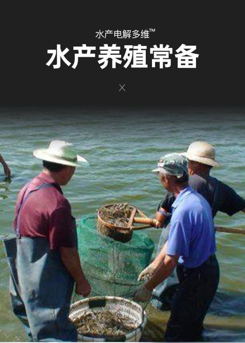 水产养殖电解多维水产多维鱼虾蟹多维电解质饲料添加剂水产养