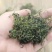 蒲公英茶