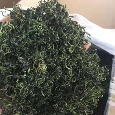 蒲公英茶
