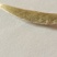 云南普洱景谷大白茶，月光白，白毫银针，一手货原，量大从优