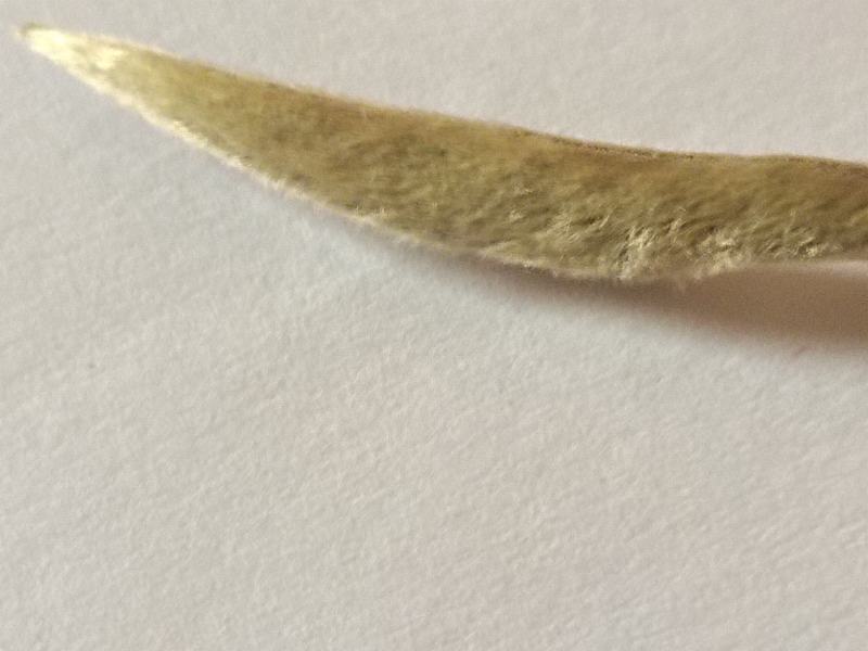 云南普洱景谷大白茶，月光白，白毫银针，一手货原，量大从优