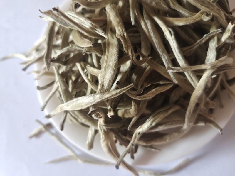 云南普洱景谷大白茶，月光白，白毫银针，一手货原，量大从优