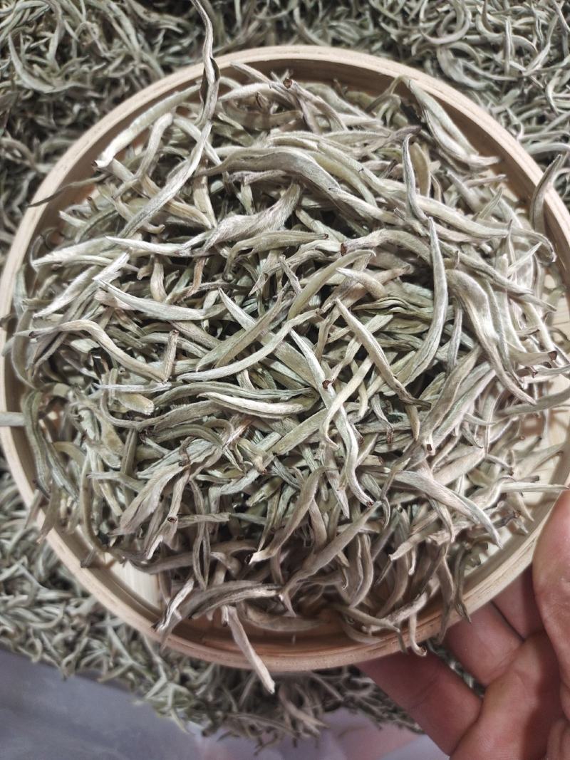 云南普洱景谷大白茶，月光白，白毫银针，一手货原，量大从优
