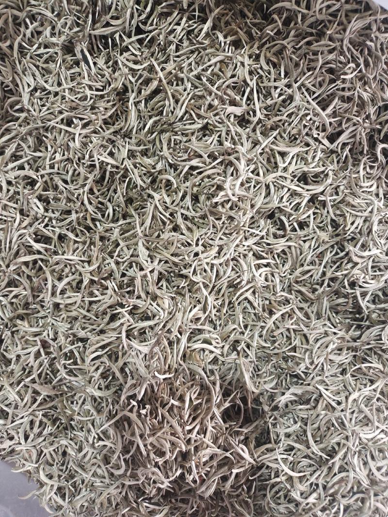 云南普洱景谷大白茶，月光白，白毫银针，一手货原，量大从优