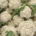 【花菜】甘肃定西松花菜基地直供对接全国市场电商商超