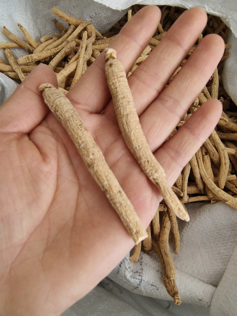 西洋参个长支西洋参个纯干西洋参花旗参包邮