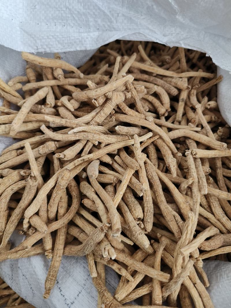 西洋参个长支西洋参个纯干西洋参花旗参包邮