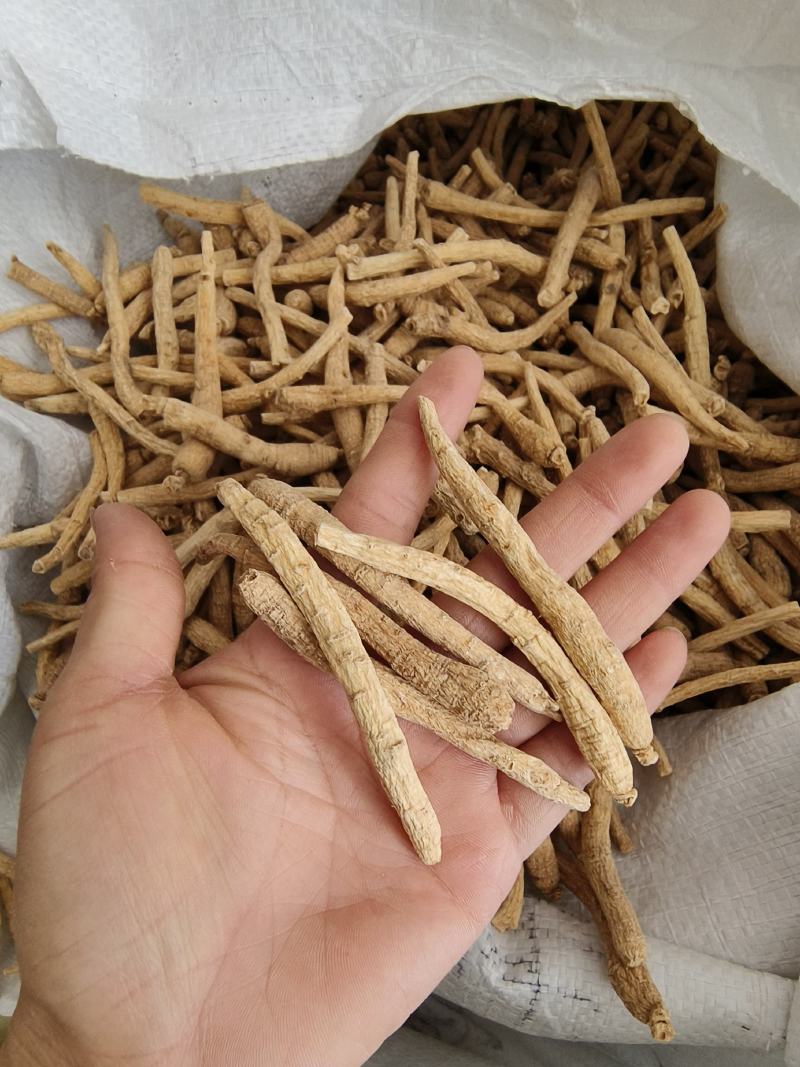 西洋参个长支西洋参个纯干西洋参花旗参包邮