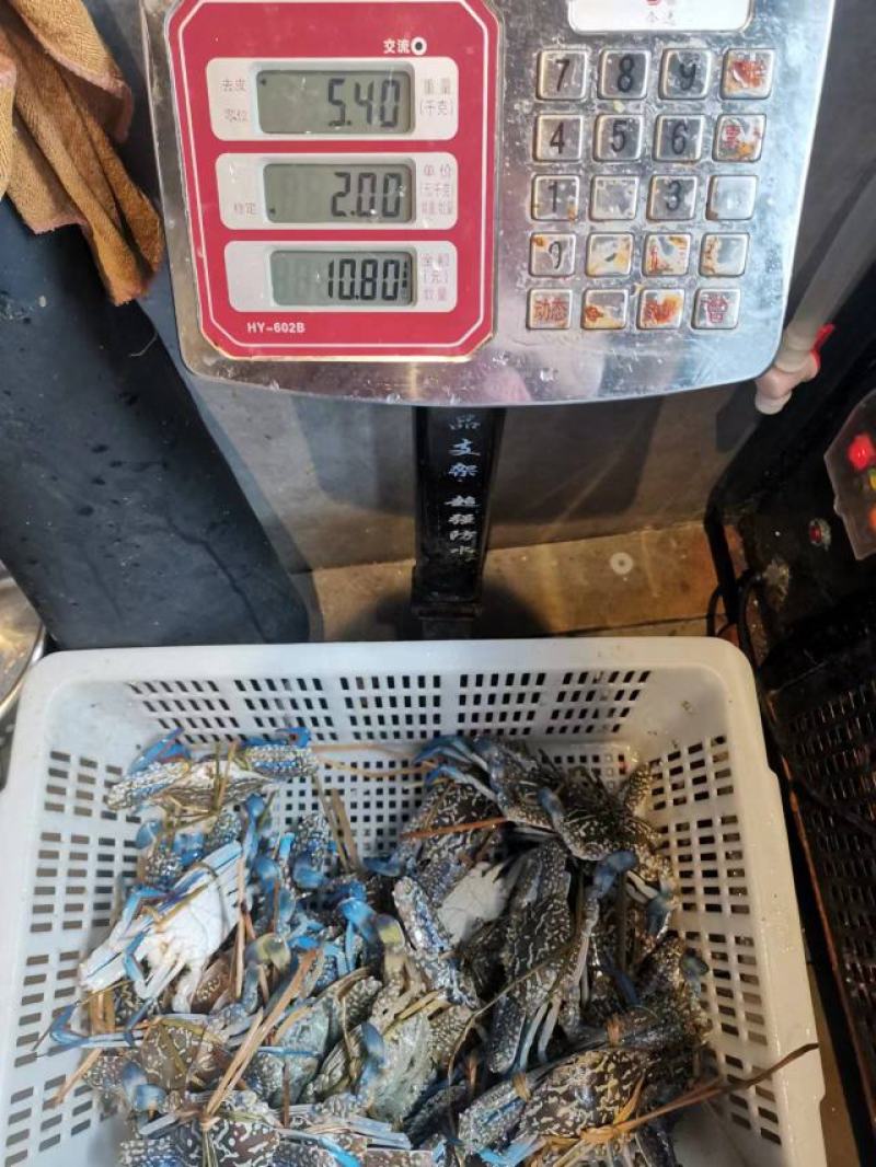 兰花蟹、花蟹源头直发，重庆分公司