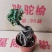 榆树基地直销精品盆栽全国一件代发物美价廉产品好服务好90