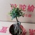榆树基地直销精品盆栽全国一件代发物美价廉产品好服务好90