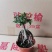 榆树基地直销精品盆栽全国一件代发物美价廉产品好服务好90