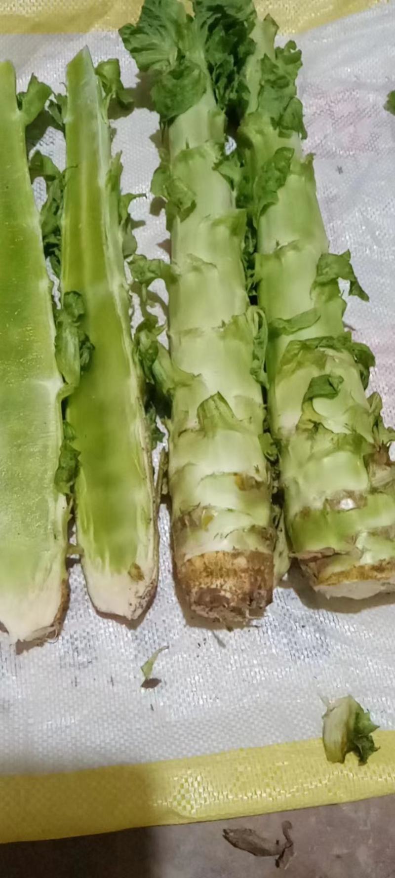 甘肃莴笋青皮莴笋红叶香莴苣定西莴笋现砍现发产地直发应季菜