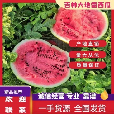 东北吉林地雷西瓜庆红999品质保证产地直发质量三包