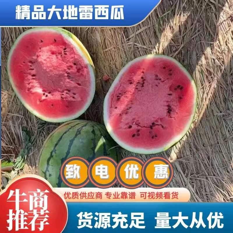 辽宁新民甜王西瓜皮毛鲜亮产地直供视频看货