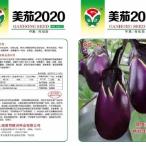 美茄2020(赣洪种业有限公司)