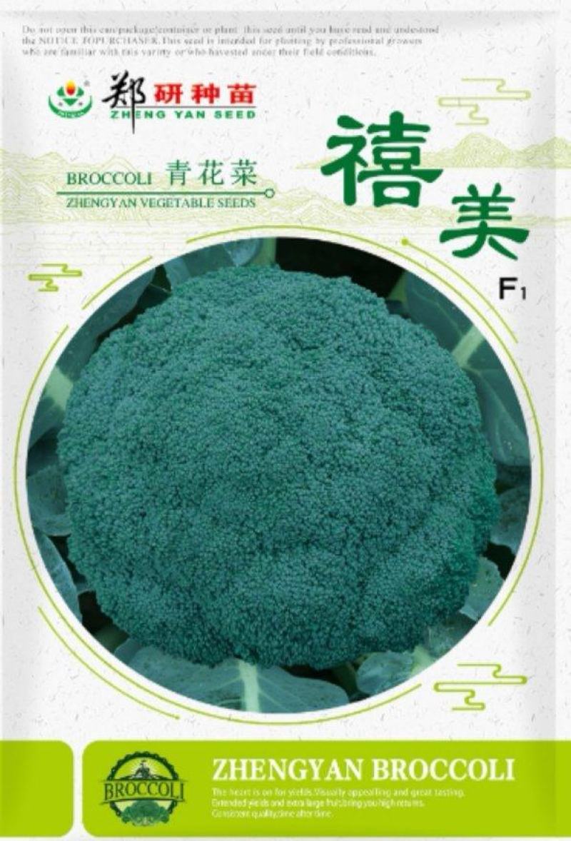 郑研禧美西兰花种子，1000粒.花球蕾粒均匀