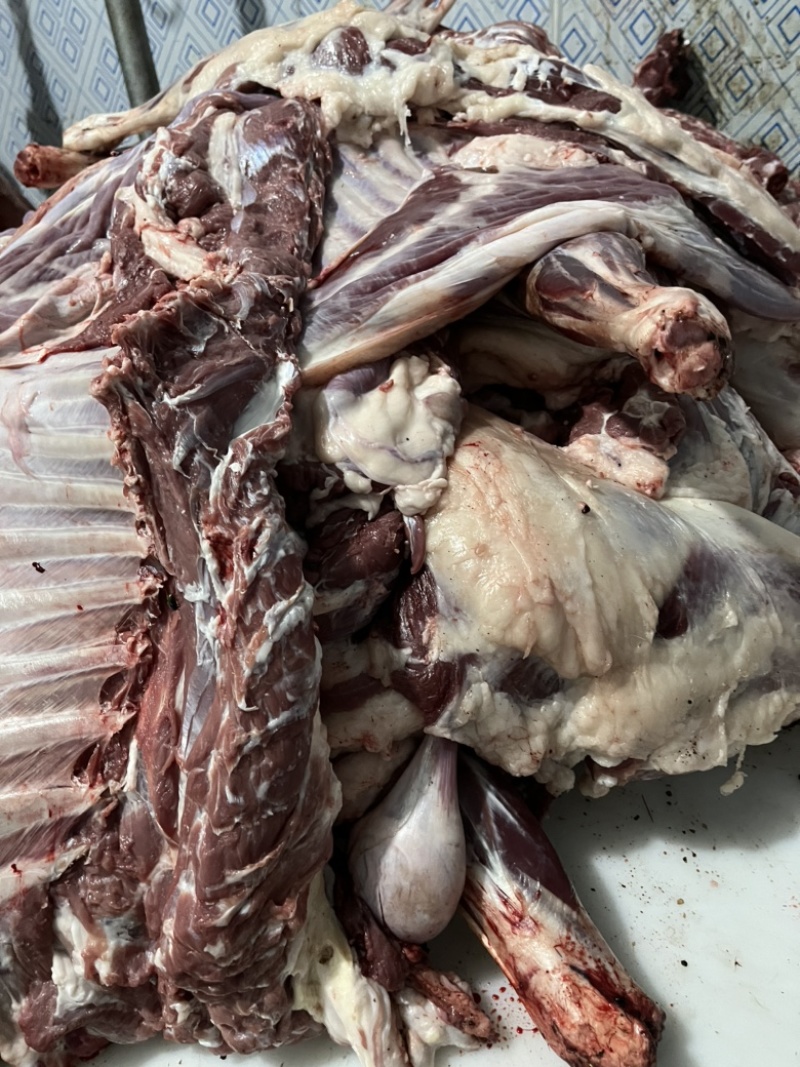 冰鲜纯干剔骨羊肉支持全国发货肉质细嫩鲜美